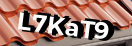 Введите код с картинки