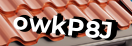 Введите код с картинки