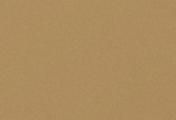 Фиброцементный сайдинг CEDRAL Click Smooth C11 Золотой песок – Купить оптом и в розницу