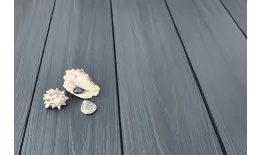 Доска террасная ТЕРРАпол ПРАКТИК Мультиколор Черная жемчужина 147х23х4000мм. Цена: 1.004 руб. Артикул: 48769