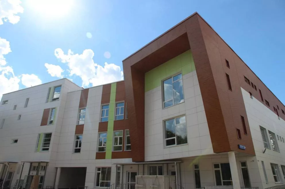 Вертикаль 0,2 classic 0,45 PE RR 32 темно-коричневый купить в санкт-петербурге