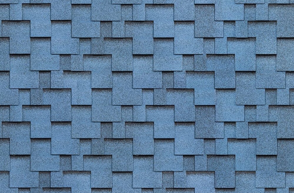Shinglas8-tern
