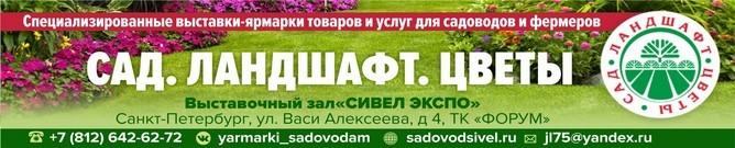 Баннер сад. ландшафт. цветы