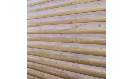 Сайдинг МЕТАЛЛ ПРОФИЛЬ Woodstock-Т-28х330 (ECOSTEEL-01-Сосна-0.5) купить в санкт-петербурге