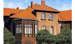 Цементно-песчаная минеральная черепица Braas Ревива антик купить в санкт-петербурге
