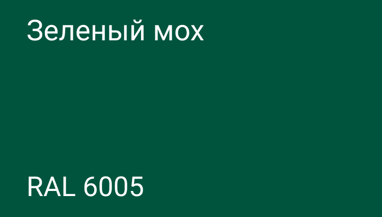 6005